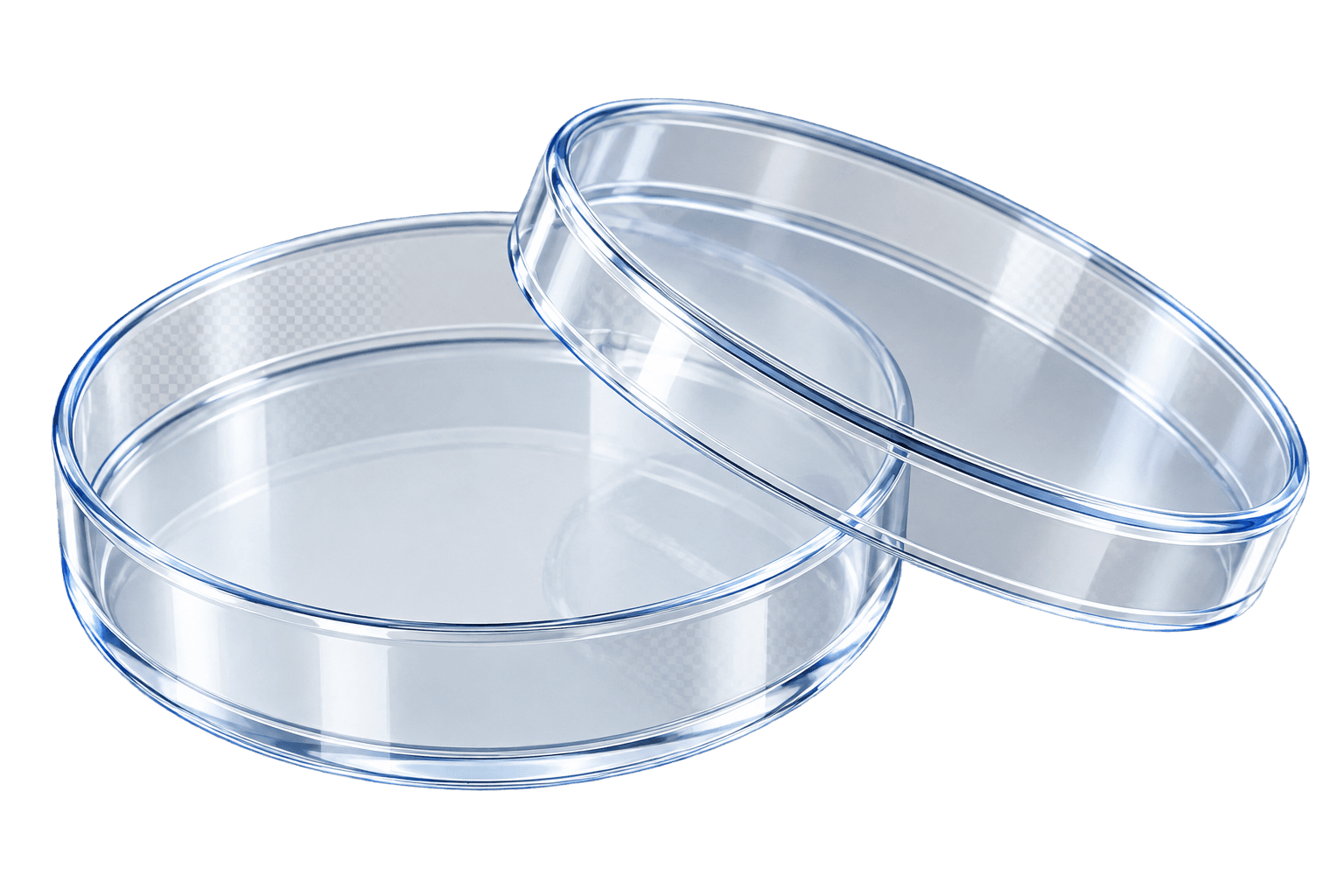 Glass Petri Dish & Lid